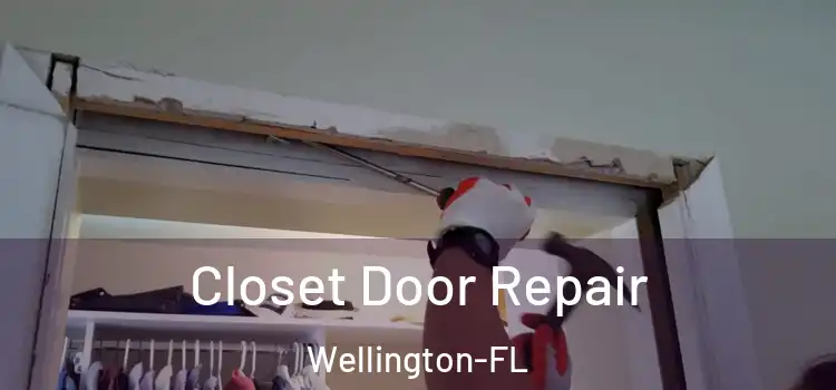  Closet Door Repair Wellington-FL