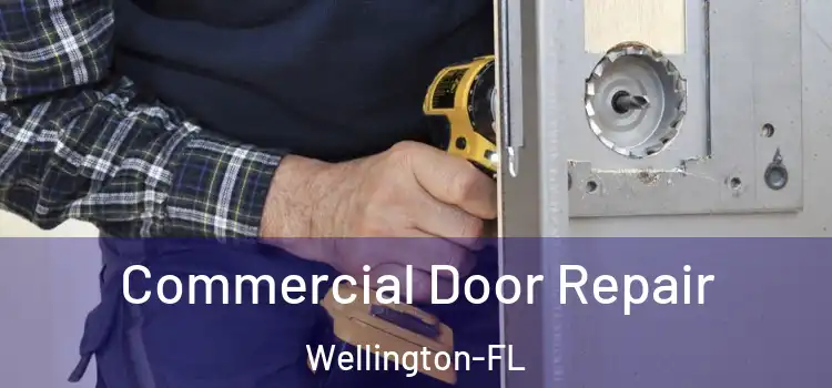  Commercial Door Repair Wellington-FL