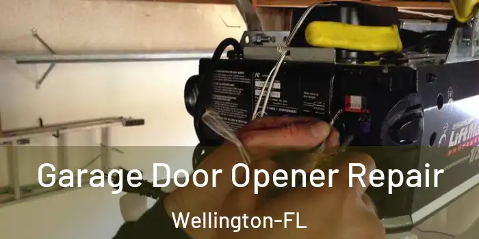  Garage Door Opener Repair Wellington-FL