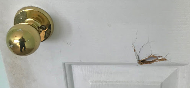interior door hole repair Wellington