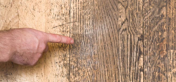 Wood Door Scratch Repair in Wellington