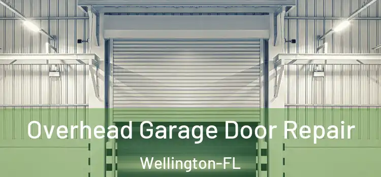  Overhead Garage Door Repair Wellington-FL