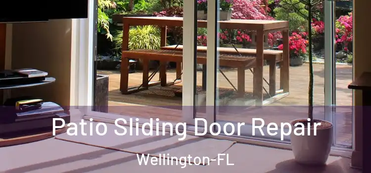  Patio Sliding Door Repair Wellington-FL
