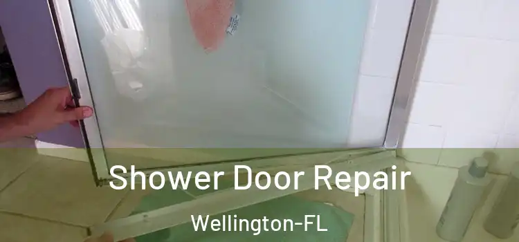  Shower Door Repair Wellington-FL